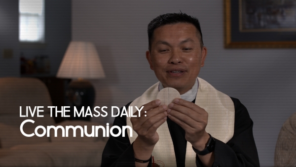 Live the Mass Daily: Communion