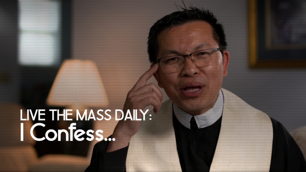 Live the Mass Daily: I Confess